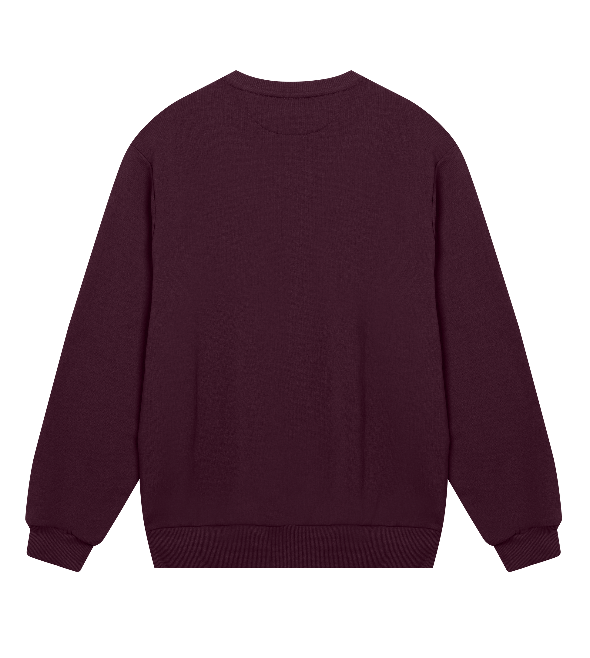 Sweat Regular Pilotariak 6